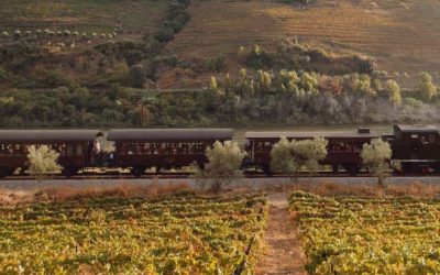 ch-douro-g ch-douro-g